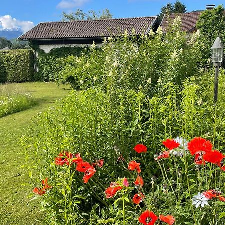 Haus Bergblick Apartment Филах Екстериор снимка