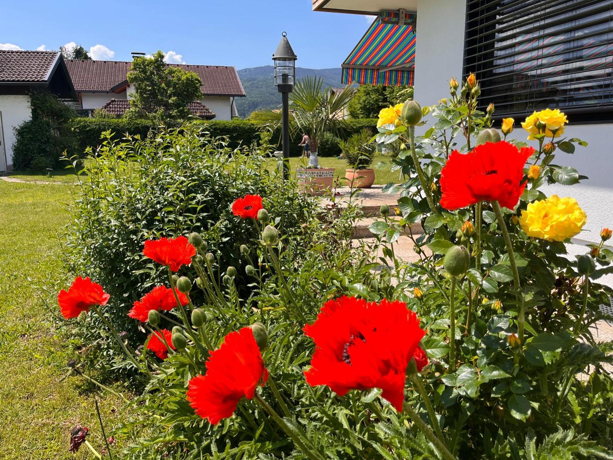 Haus Bergblick Apartment Филах Екстериор снимка